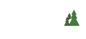 Avid Logo White 1 300x138